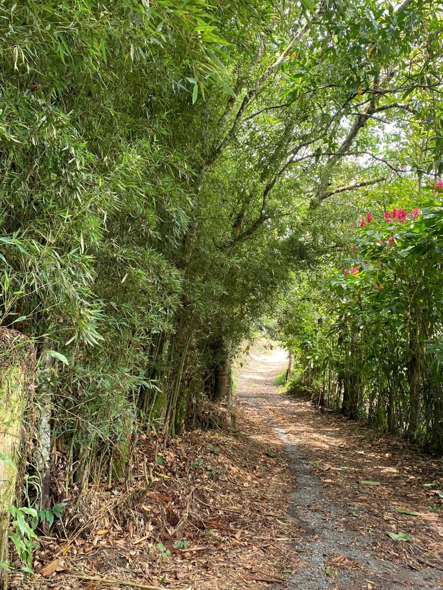 Cabana En Boquia ซาเลนโต ภายนอก รูปภาพ